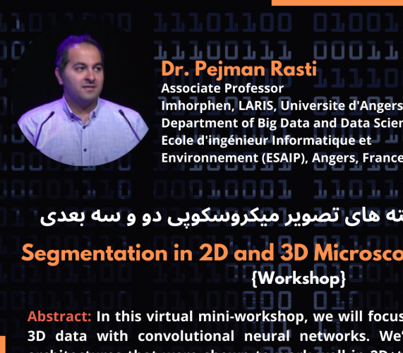 Dr. Pejman Rasti Associate Professor, Universite d'Angers (Department of Big Data and Data Science, Ecole d'ingénieur Informatique et Environnement (ESAIP)), at Angers, France, webinar(mini-workshop) on «Segmentation in 2D and 3D Microscopy Image Stacks»