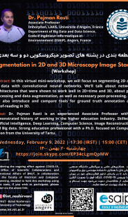 Segmentation in ۲D and ۳D Microscopy Image Stacks